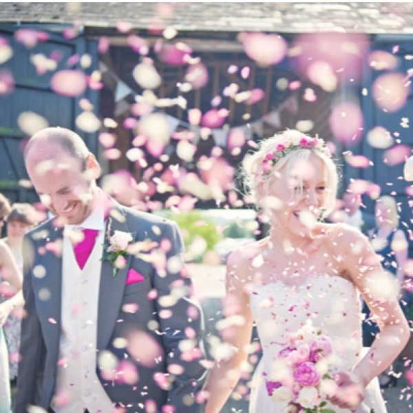 Salida de novios en rosa 2