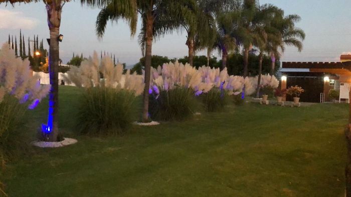 ¿Cuánto te costó tu lugar de boda? 💲💲💲 28