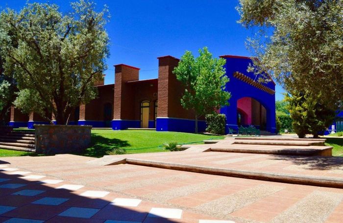 Vista del jardín dónde sería nuestro cocktail de bienvenida 