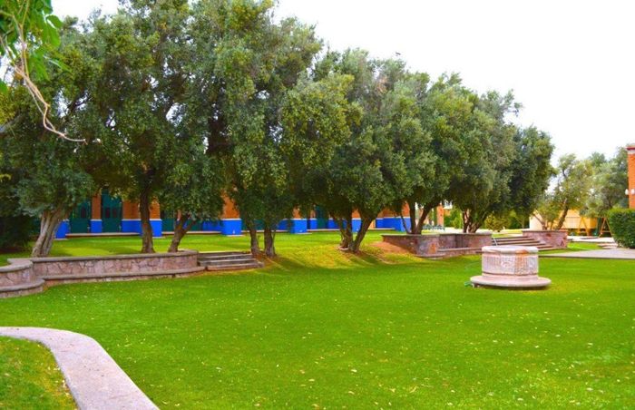 Jardín del montaje de atrás hacía adelante