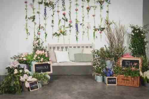 Fondos de fotos ¿cuál usarías tu? - 2