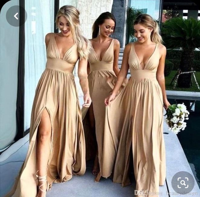 Vestido de las damas 8
