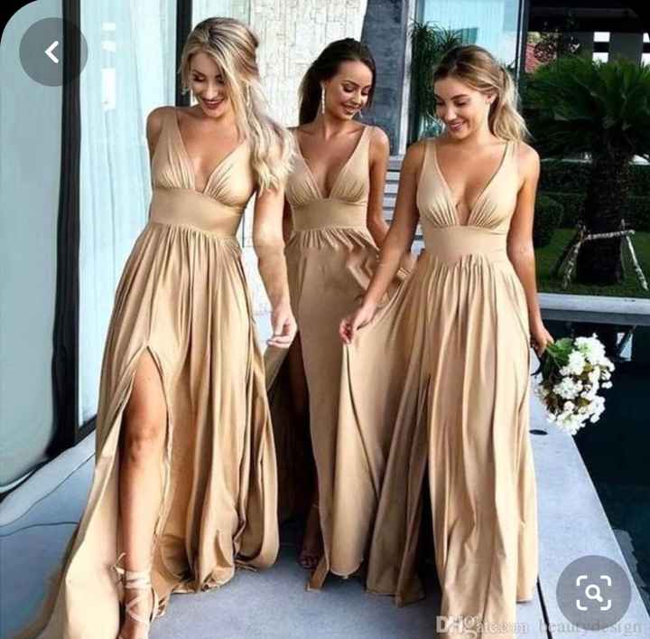 Vestido de las damas - 3