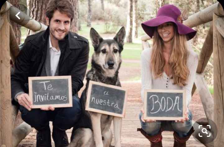 Sesión de fotos - 4