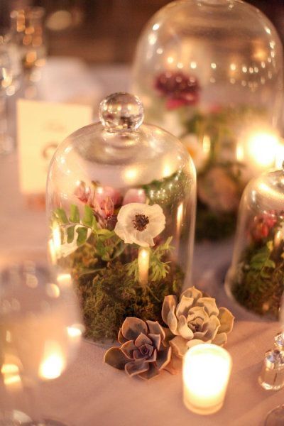 suculentas boda