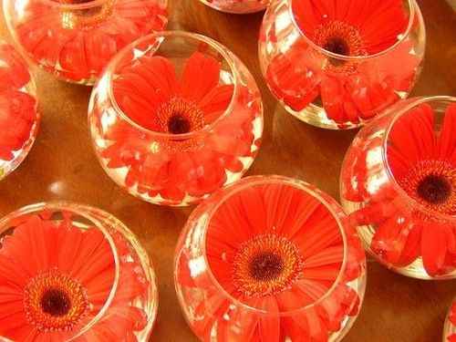 decoración con gerberas