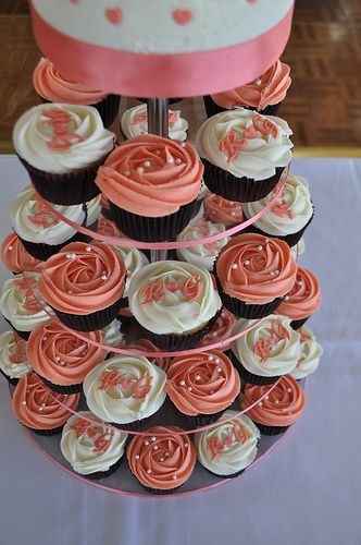 cupcakes color coral