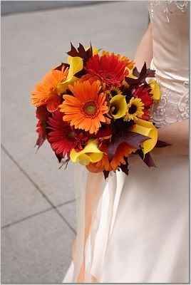 roma boda otoño