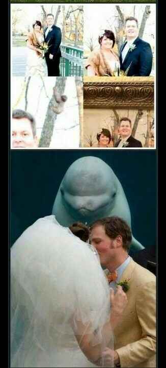 Epic fail de una boda - 5