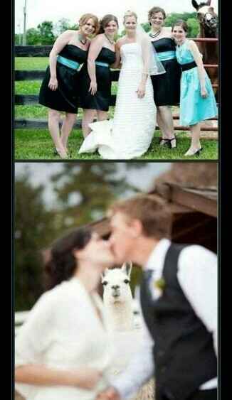Epic fail de una boda - 6