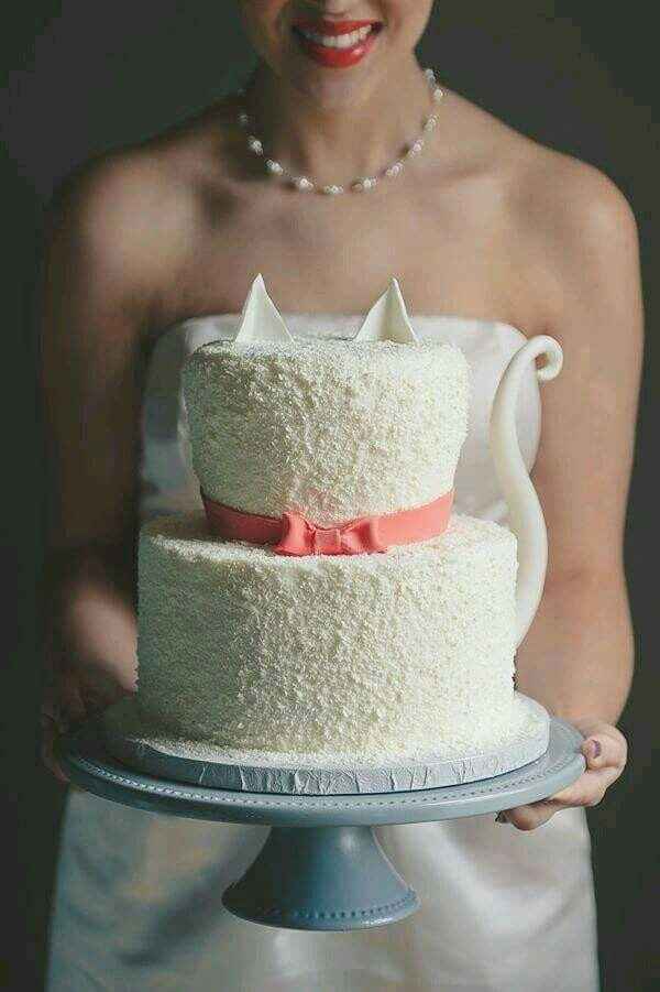Boda estilo ¿gatos? - 1