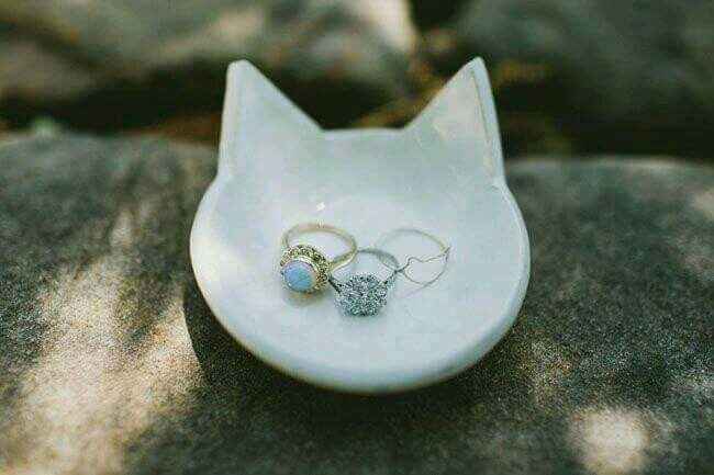 Boda estilo ¿gatos? - 12