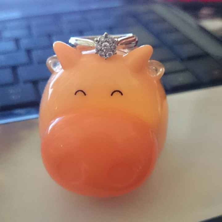 my precious & pig