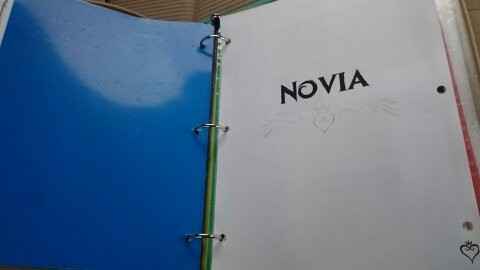 Seccion novia (yo merengues)