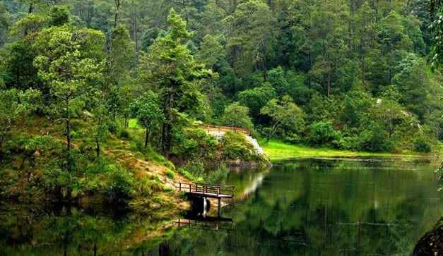 1 LAGUNA DE ZEMPOALA
