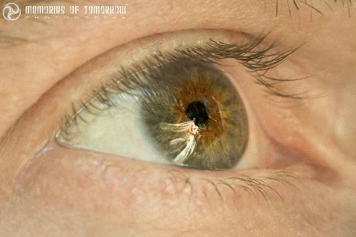 Sesión de fotos.  la boda a través de su mirada - 18