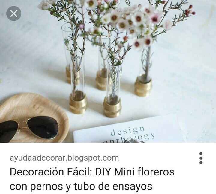 A 150 días: mi boda civil científica - 4