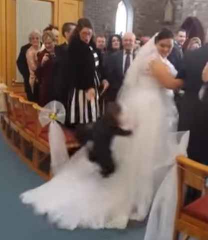 sobre el vestido!!
