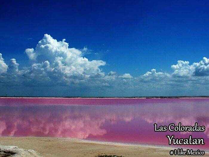 Que lugar escogen para su sesión de fotos? - 9