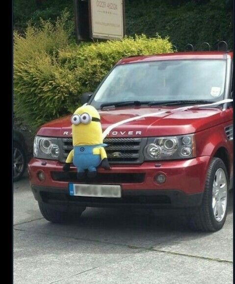 Boda estilo ¿minion? - 4