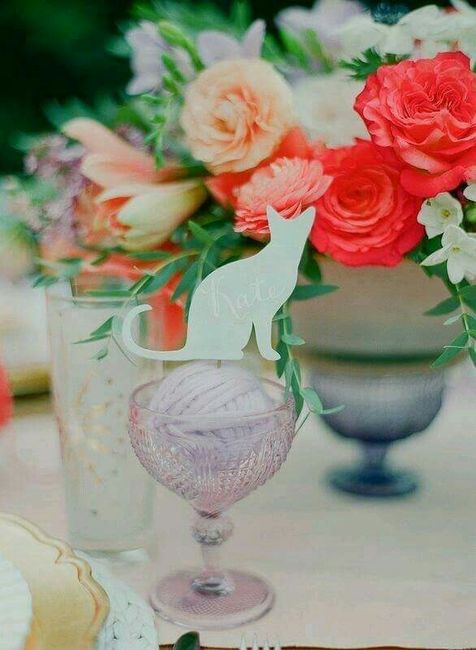 Boda estilo ¿gatos? - 15