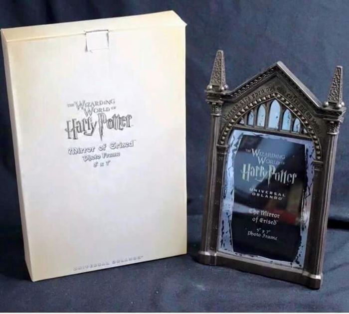 Recuerdos de boda temática harry potter - 1