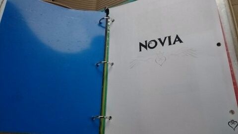 Seccion novia (yo merengues)