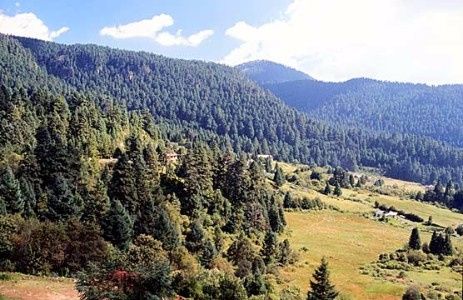 2 LA MARQUESA