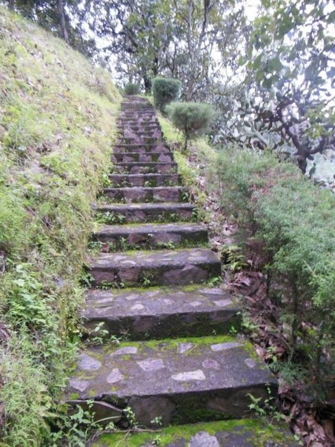 2 SALTO DE CHIHUAHUA
