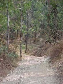 1 CERRO DE LA ESTRELLA