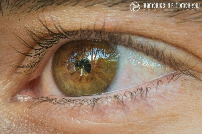 Sesión de fotos.  la boda a través de su mirada - 4