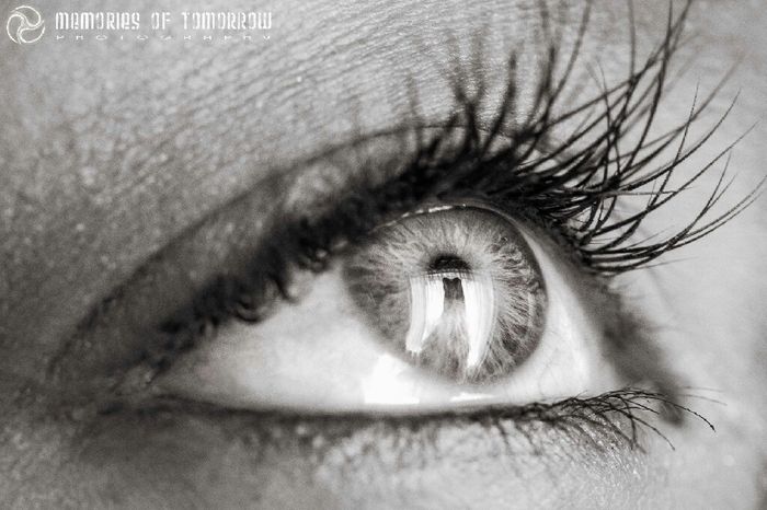 Sesión de fotos.  la boda a través de su mirada - 14