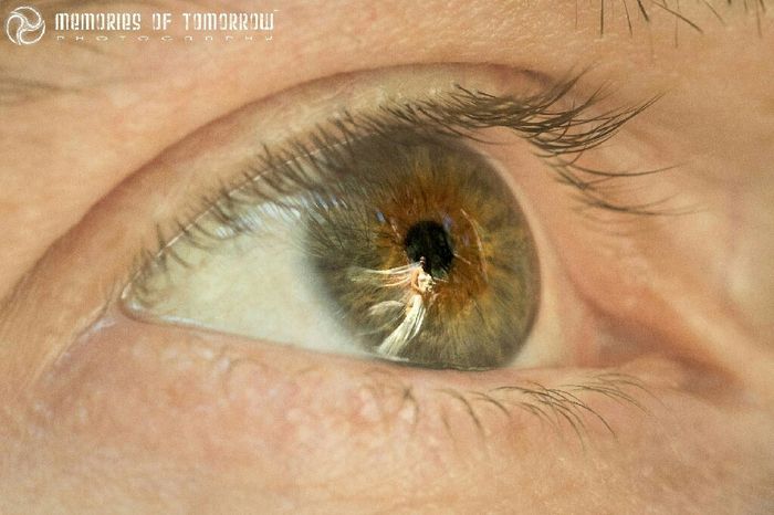 Sesión de fotos.  la boda a través de su mirada - 18