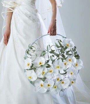 Ramos tipo innovación japonesa - 1