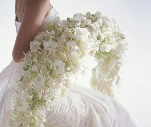 Ramos tipo innovación japonesa - 12