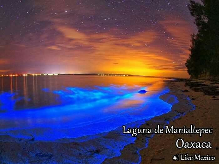 Que lugar escogen para su sesión de fotos? - 2