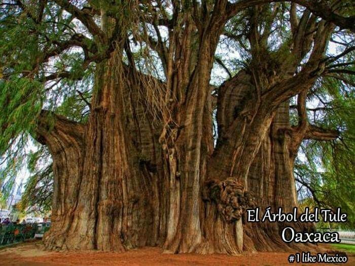 Que lugar escogen para su sesión de fotos? - 8