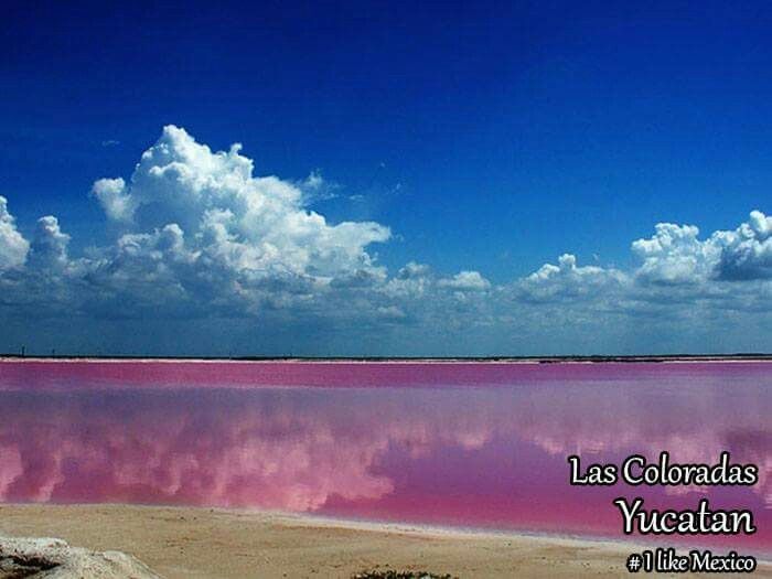 Que lugar escogen para su sesión de fotos? - 9