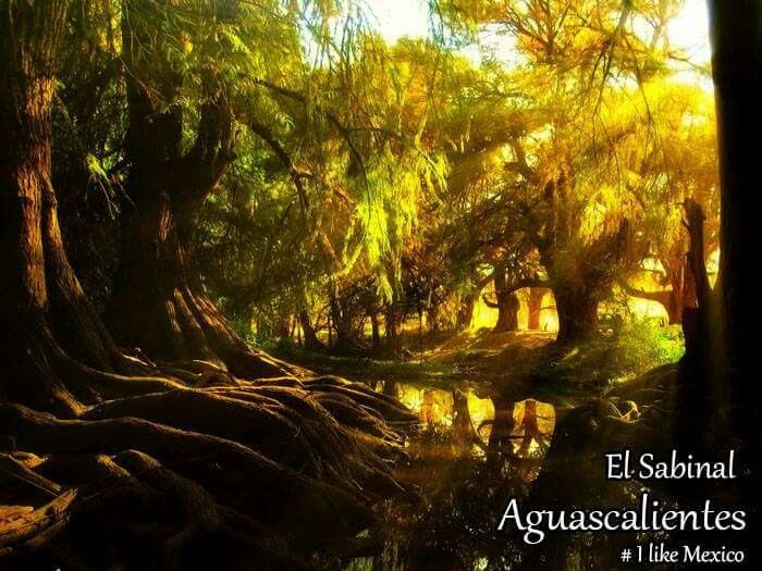 Que lugar escogen para su sesión de fotos? - 28