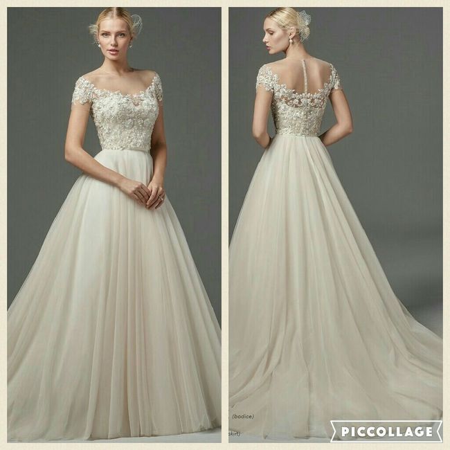 Colección sottero & midgley  corte a - 14