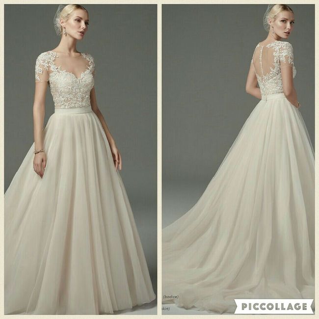 Colección sottero & midgley  corte a - 16