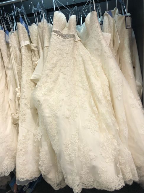 ¿cuanto gastaron en su vestido? 2