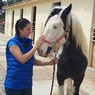 María