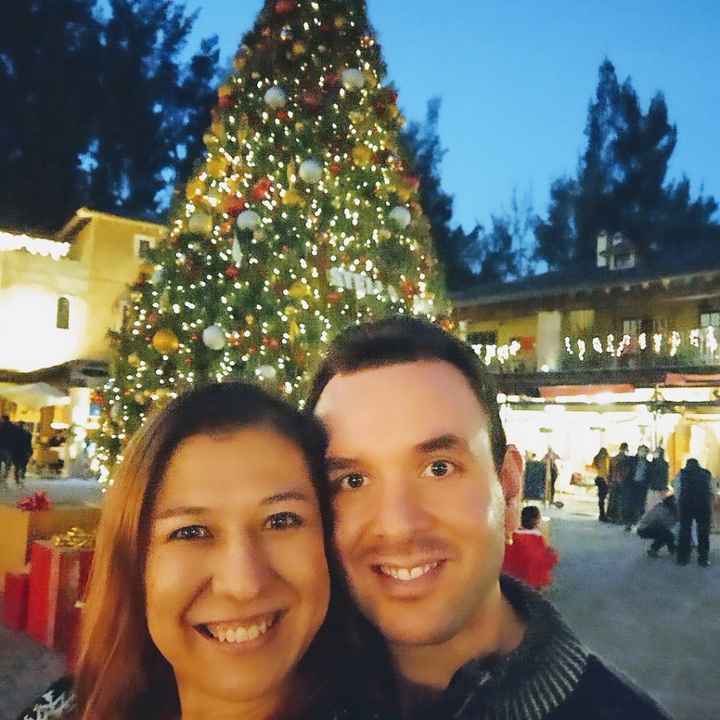 ¿Les gusta la navidad o son una pareja Grinch? - 1