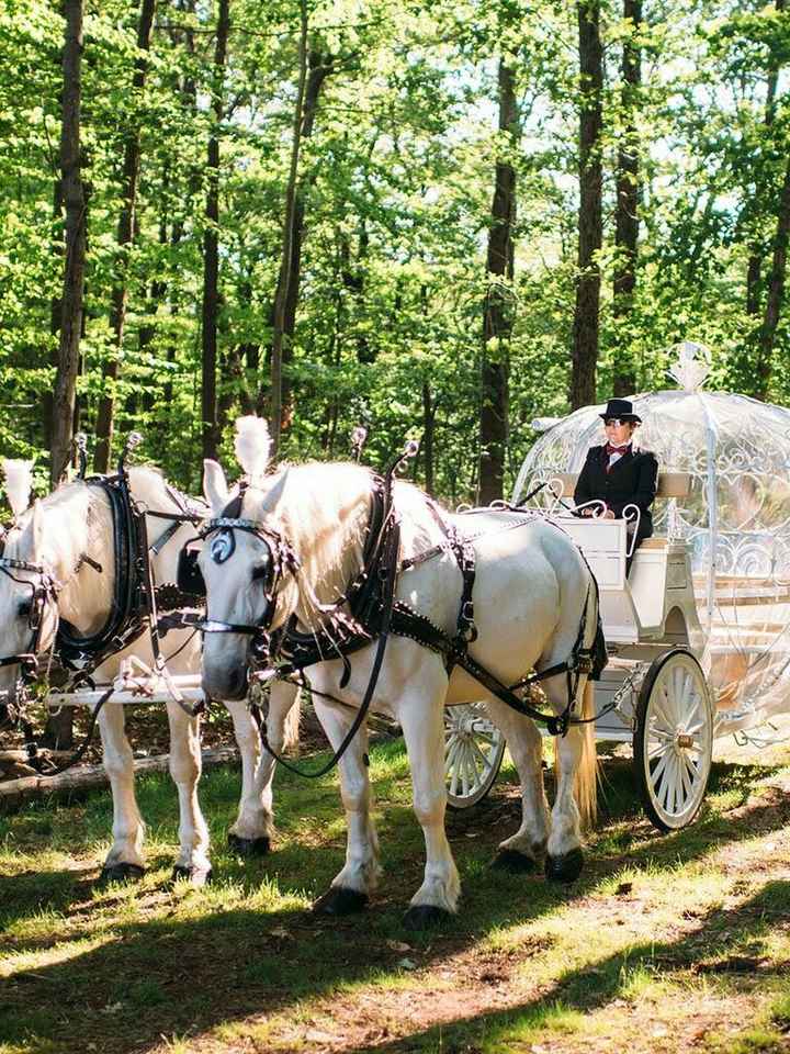 ¡Ayuda! Boda Disney - 3