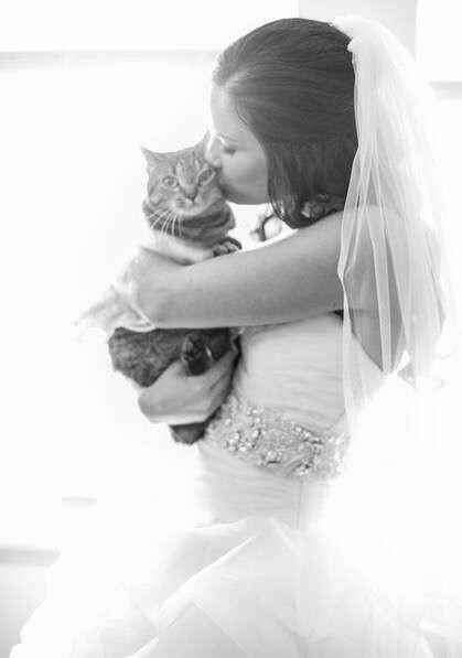 ¿Vas a llevar tu perro/gato a la boda? 🐶🐱 - 1