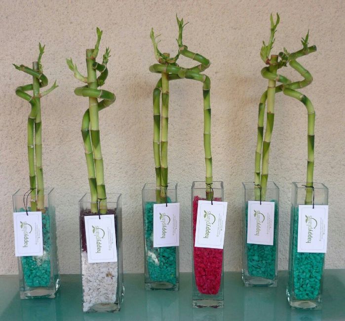  Un recuerdo con vida 💚 - 1