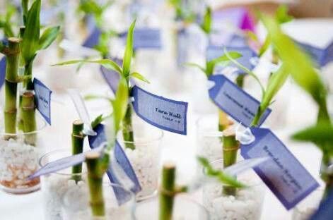  Un recuerdo con vida 💚 - 6