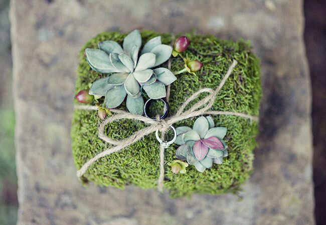  Musgo: Que se note el verde en la boda 💚 - 3