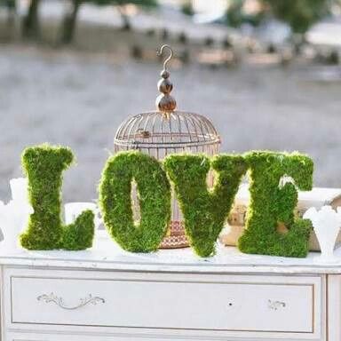  Musgo: Que se note el verde en la boda 💚 - 8